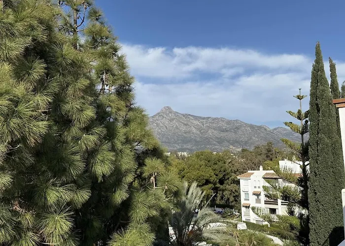 Puerto Banus Penthouse